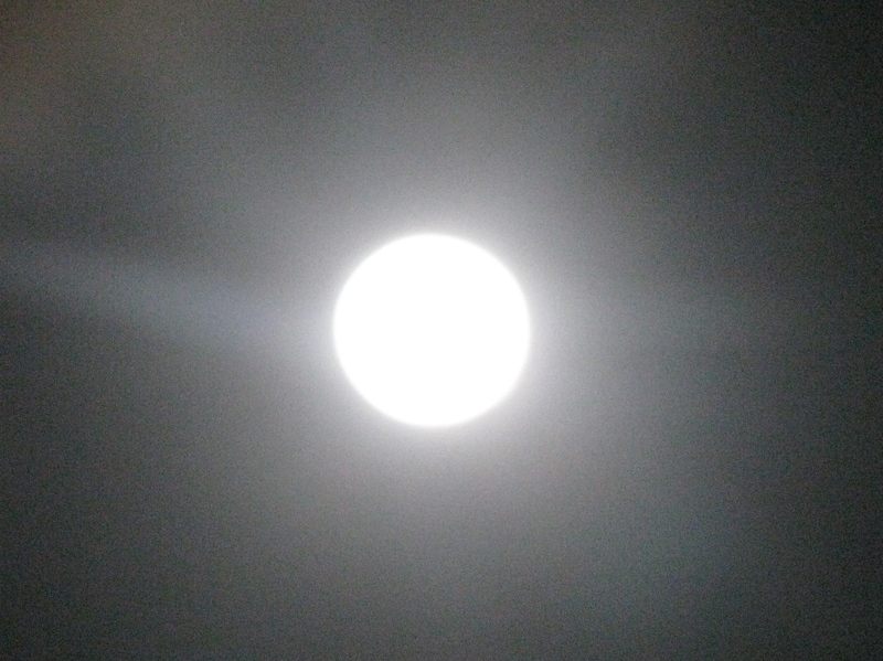 I tried taking pictures of the full moon, when the moon was the closest in 20 years.