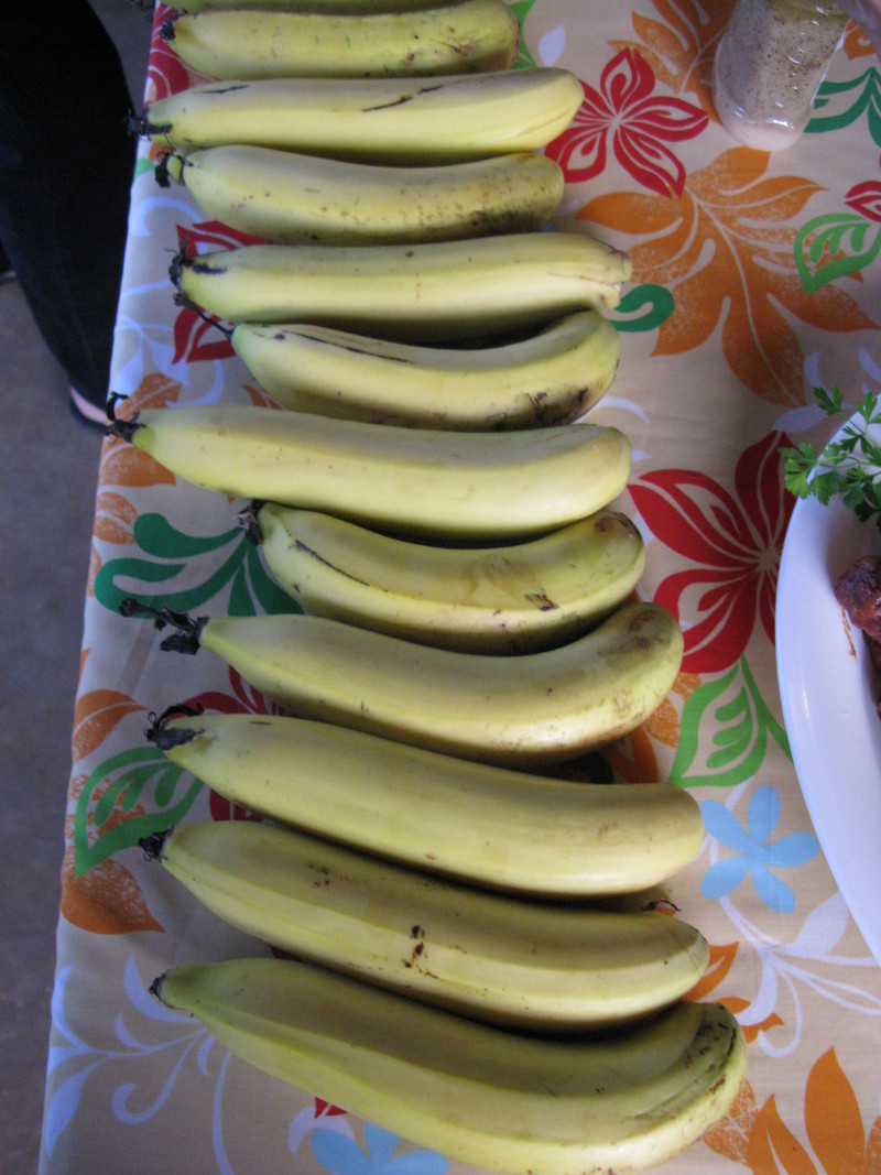 All of a sudden our bananas ripened. I was expecting a gradual ripening. :-) So they all ripened about the 3rd of August.