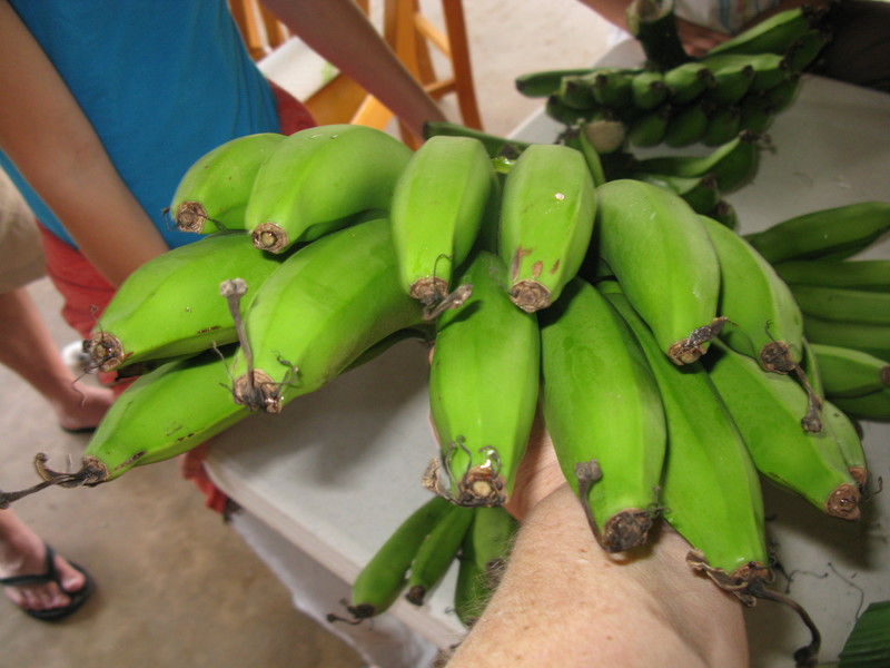 We had several people count how many bananas we ended up with. 183 is the official number.