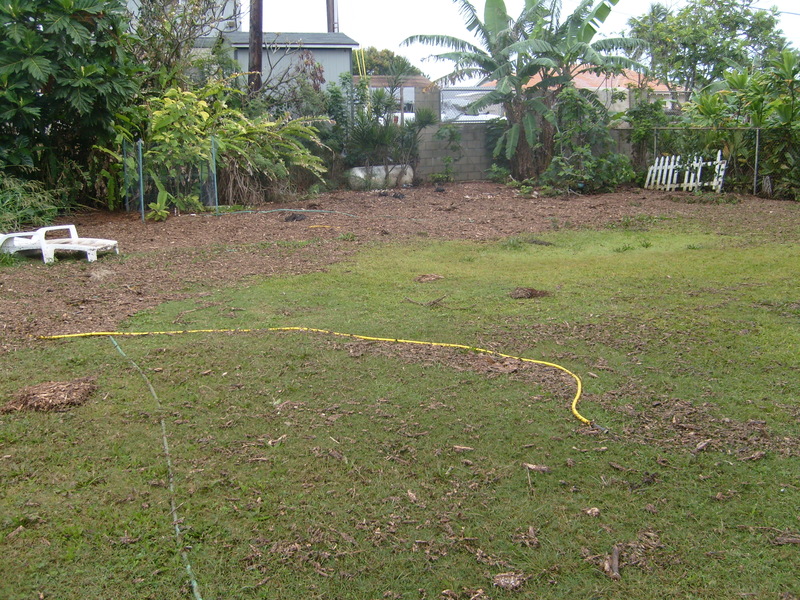 Notice the debris all over the back yard.