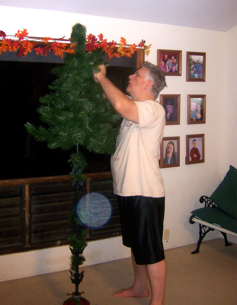 Nov 25: Don puts the top on the tree.