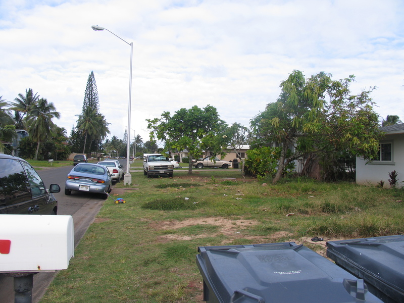 Looking down the block to the east. Garbage comes twice a week. :-)