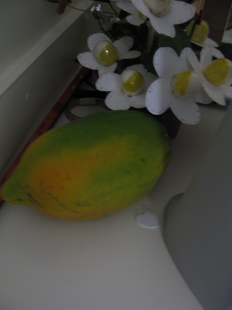 This is a papaya from our tree that I left for mom to watch ripen.