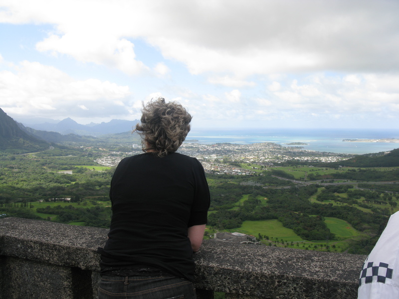 Getting blown away at the Pali Lookout.