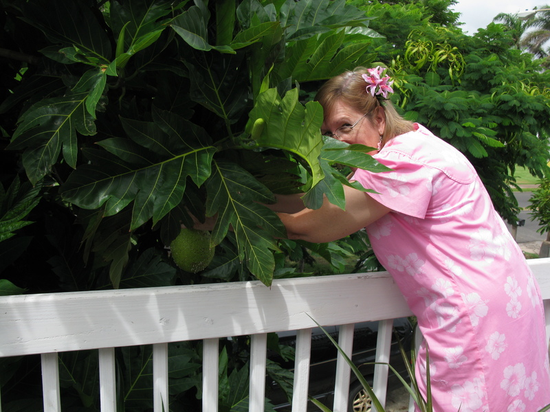 Cindy decided to make some breadfruit recipes for her friends.