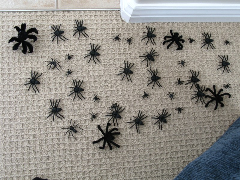 Laura had the cutest spiders crawling out of her livingroom.