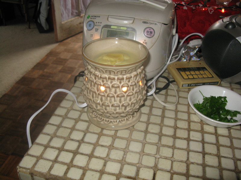 Scentsy Candle that Larissa gave me.