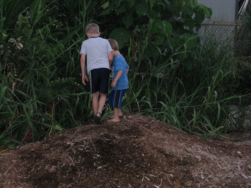 I want to know what they are looking at. Makes me want to go look also. :-)
