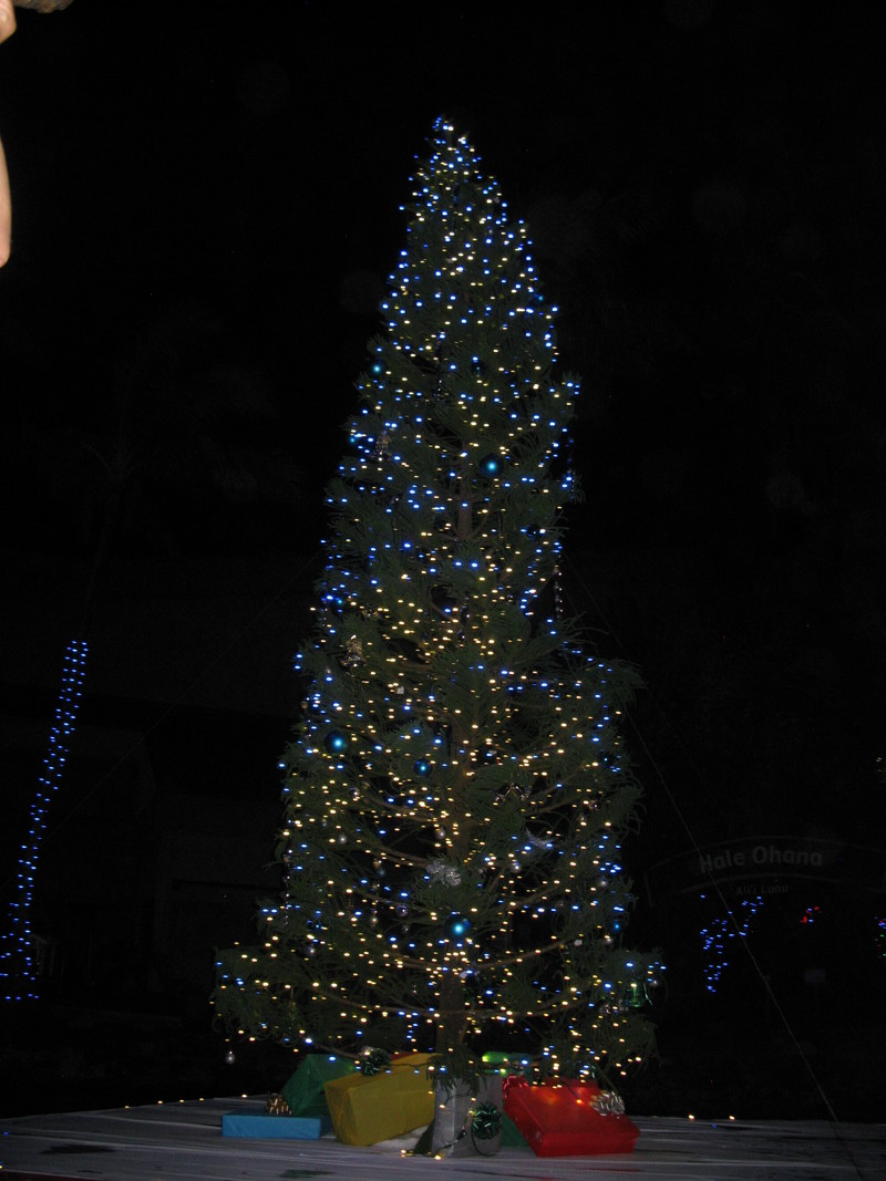 It's hard to capture the lights with low light and a moving canoe. :-)