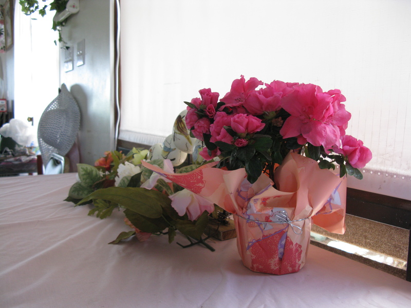 Mother's day? azalea