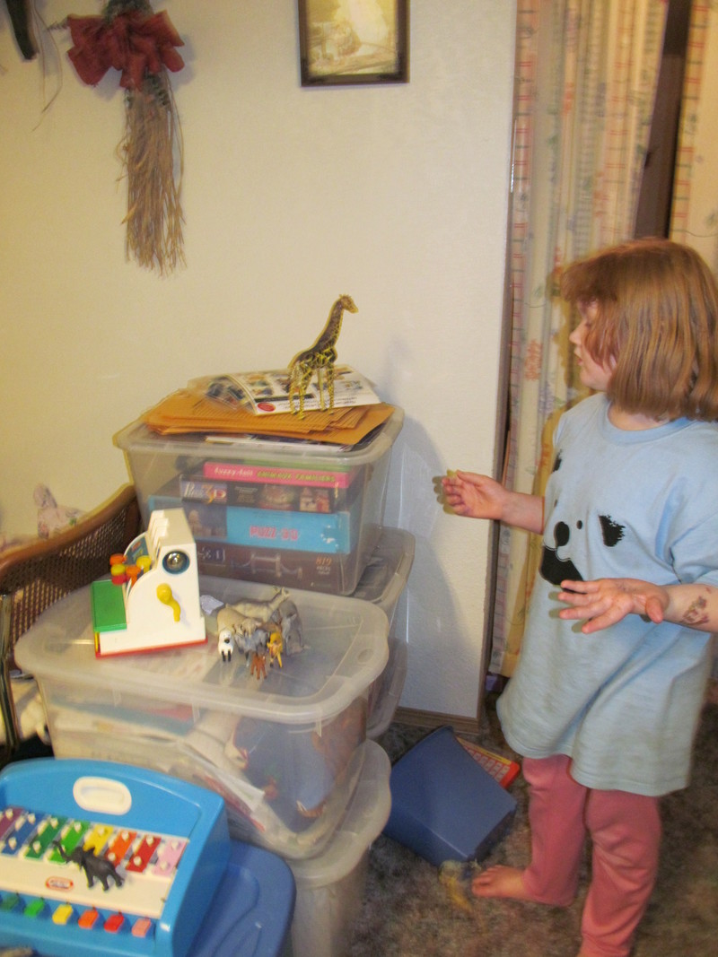 The girls played with Grandma's animals.