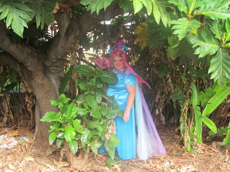 This is in my backyard under the breadfruit/ulu tree. I am standing by the noni bush that I didn't plant there.