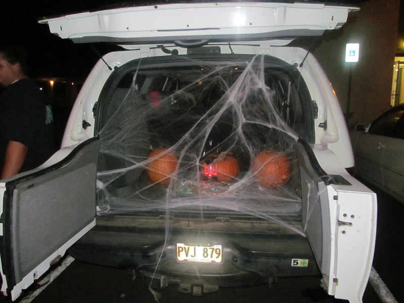 Hawaiian spiders got ahold of this van.