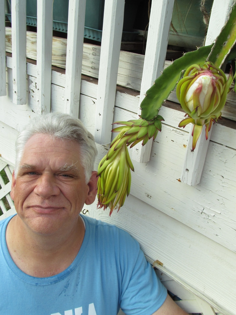 We got our first Dragon Fruit flower on the 7th of August, 2012. Here Don is doing a size comparison. :-) 