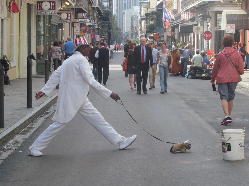 This guy was great. He was not moving at all. Saw another one that night that looked like he was climbing a ladder and not moving.