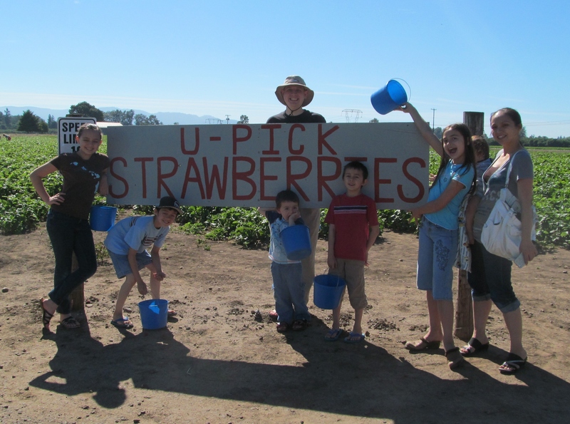 Lone Tree farm strawberry day.