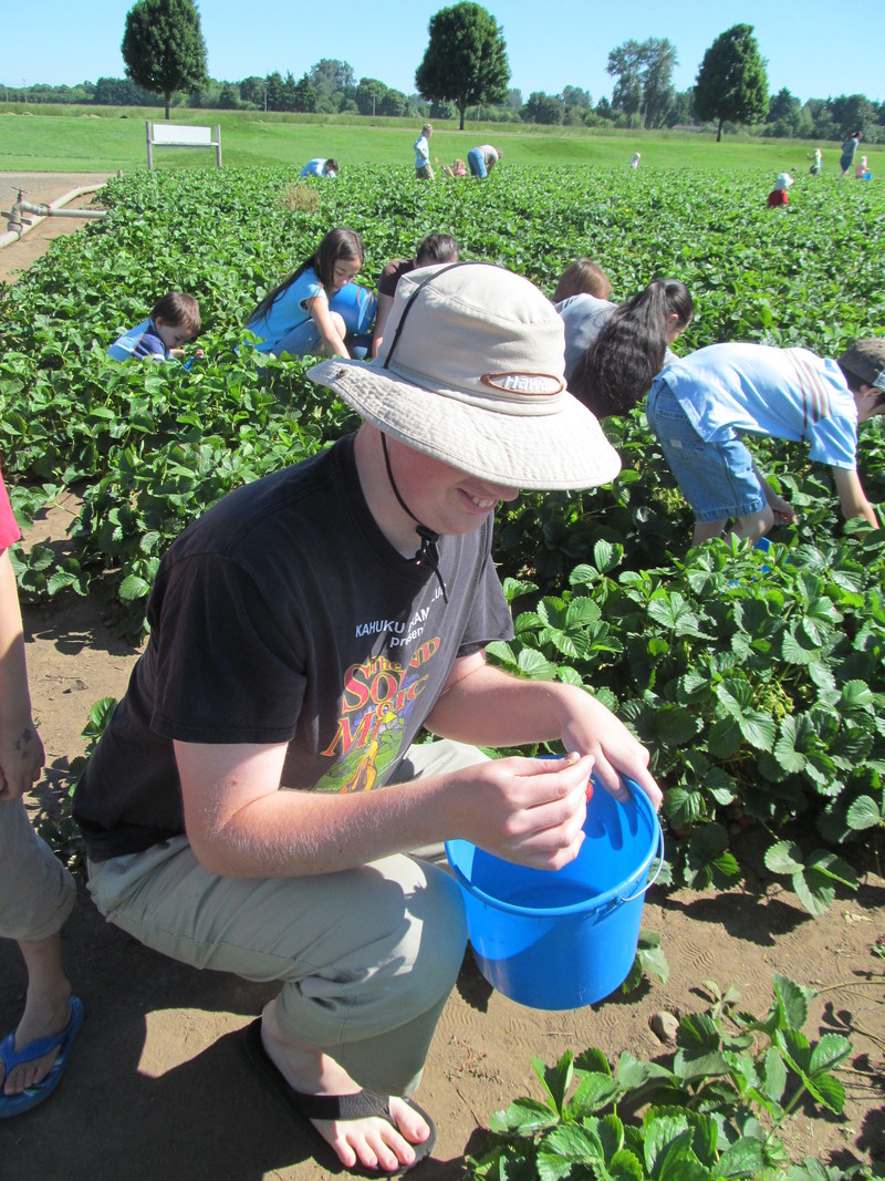 Isaac picking strawberries.