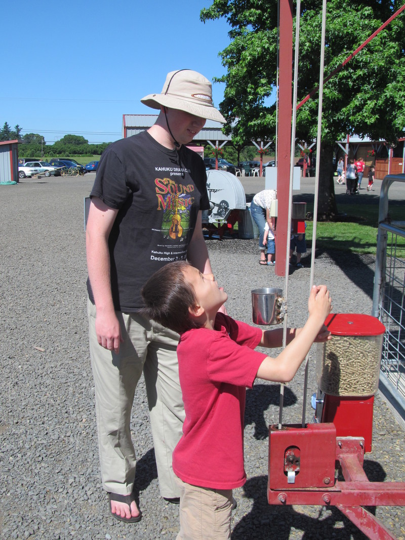 You put the food in the can and then use the pulley to send it up to the goats.