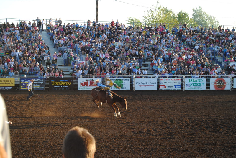 Bucking Bronco.