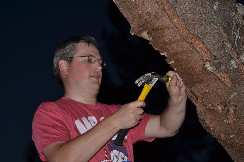 Daniel wields a chisel. Treehouse.