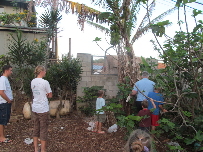 The second oldest Marcum girl got the honors of cutting the plant down.