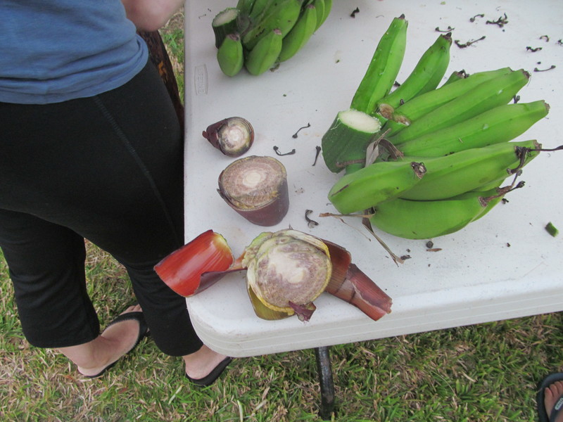 Kind of weird that we had the same number of bananas as the last bunch had.