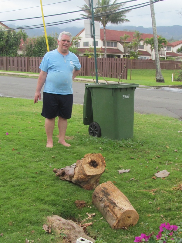 Hail the conquering hero. Lois let Don use her chainsaw.