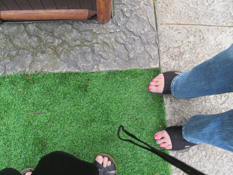 They put artificial grass where they are always teaching the hula lessons under the tree. The grass was worn if it existed.