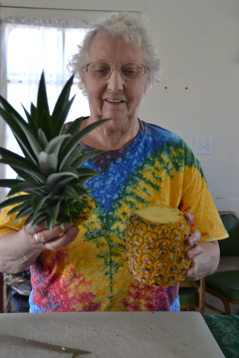 Jean decapitated the pineapple.