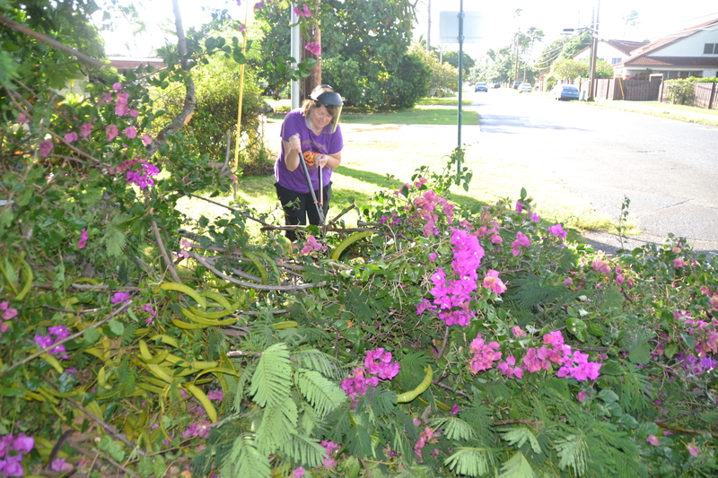 Today, Oct 28, 2014 a big branch fell off the tree. I also think we had an older larger stump branch fall off the tree, pictured at bottom. It was hard to tell if the big branch was connected to the tree or the old stump part.