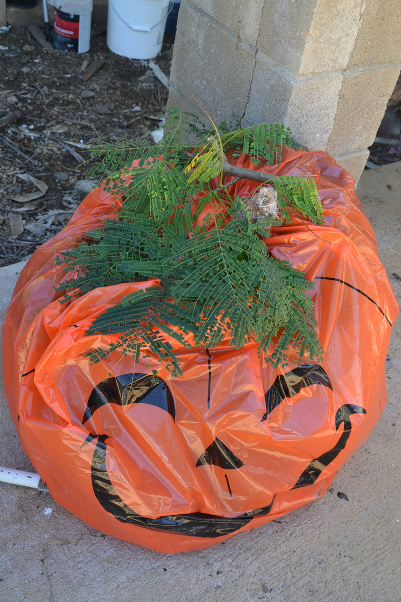 Halloween Pumpkin with greenery and "bow."