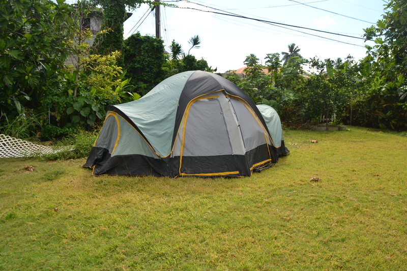 We set up a tent in the back yard to (a) keep the cat out of the way, and (b) store foods that we did not want exposed to the fumigation.