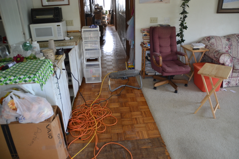 Here is an inside view of the fumigation line, and various doors open for maximum effect.