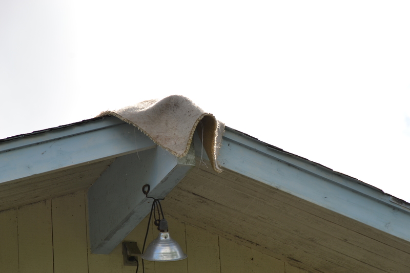 Padding the beams so they do not rip the tarps.