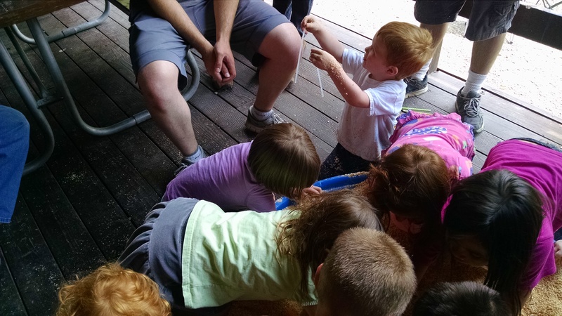 Digging for Treasure.