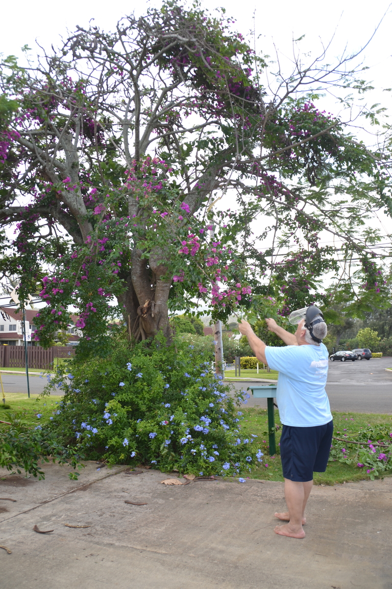 So I had to call in Mr. Muscle.