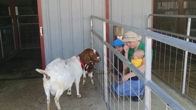 Latia, Joseph,and Austin checking out the goats.