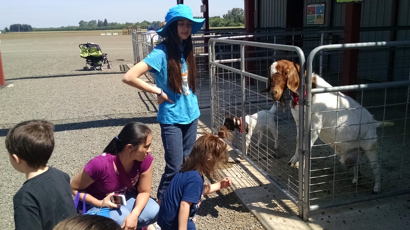 Kili, Akiko, Latia, Kekoa with goats.