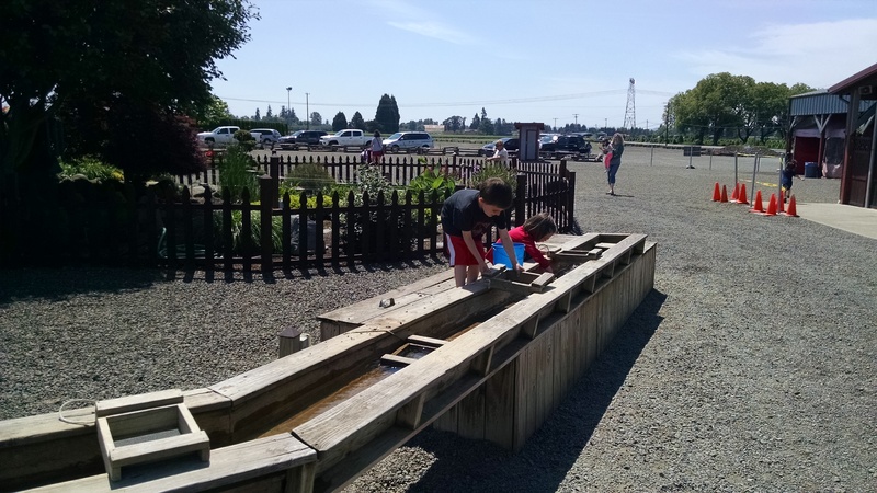 Kili and Emily playing in the mining water trough.