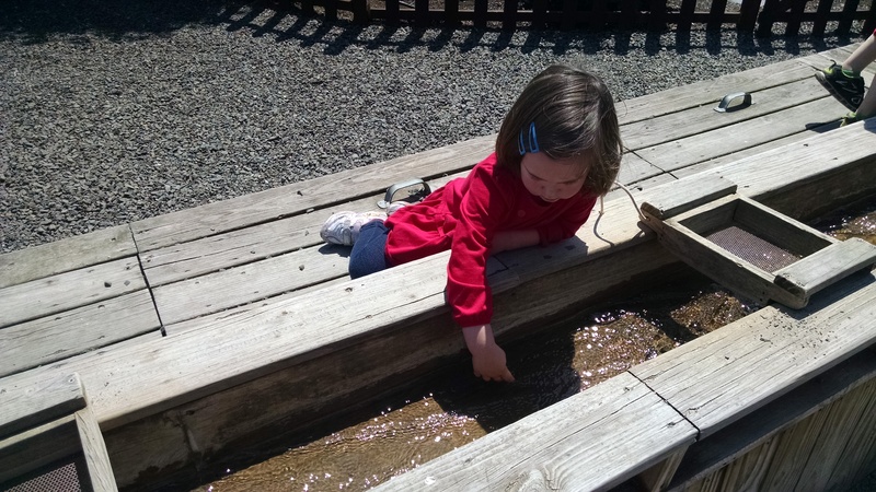 Emily playing in the mining water trough.