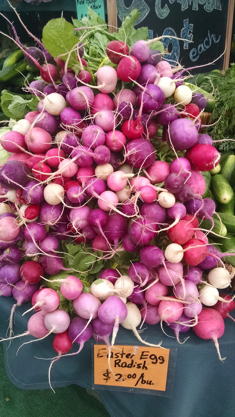 Easter egg radishes at the Eugene Farmer's Market.