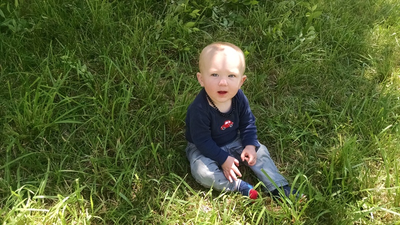 Austin helped grandma pull grass.