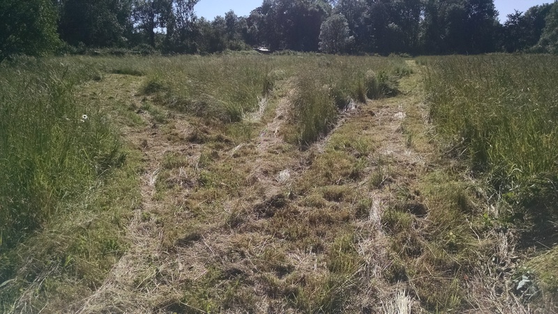 Three roads diverged in a yellow field,
And happy I did yet travel all,
And be one traveler, long I stood
And looked down one as far as I could
To where it bent in the undergrowth; 
....
I took the ones all traveled by,
And that has made all the difference.
sorry Robert Frost. :-)