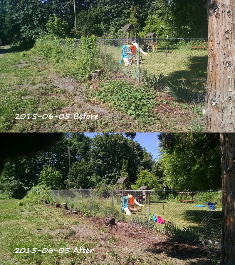 combo before and after picture.