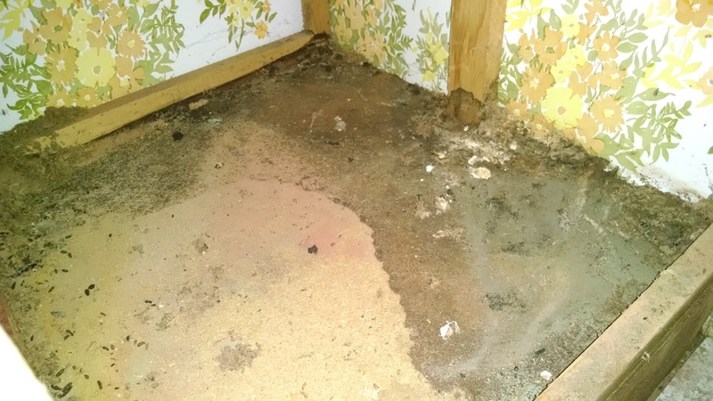 This is what most of the cabinets look like in this manufactured home. See why I want new cabinets instead of putting my clean clothes in here?