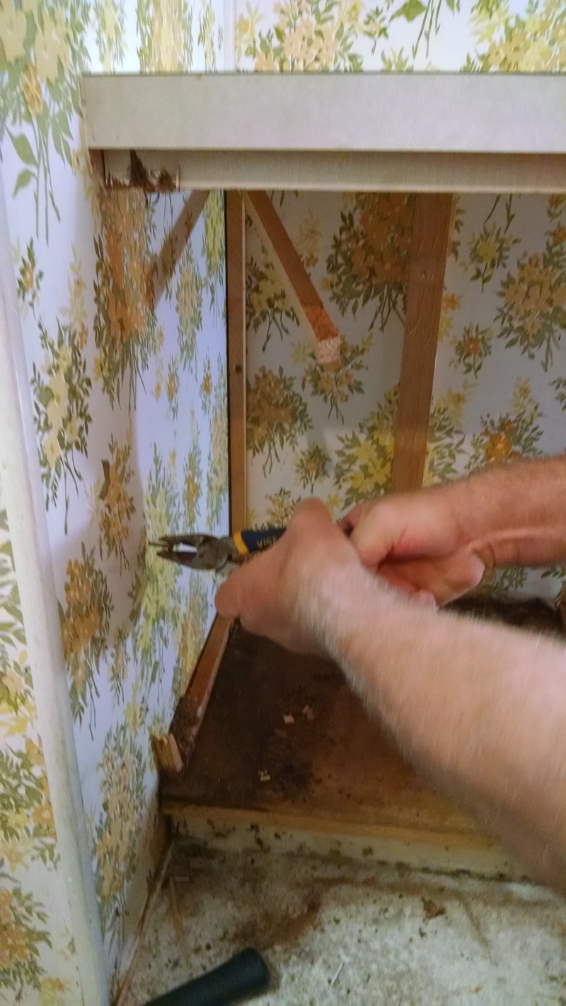 We wanted to get the old Master Bathroom cabinets out. They were screwed with special screws, and we ended up demolishing the cabinets to get them out. They were gross, so it wasn't a big deal, but it took a long time.
