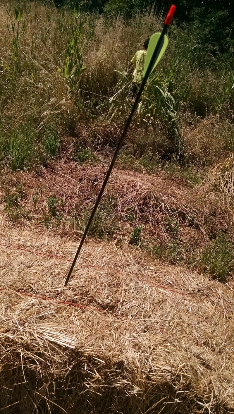 Joseph brought in bales of hay.