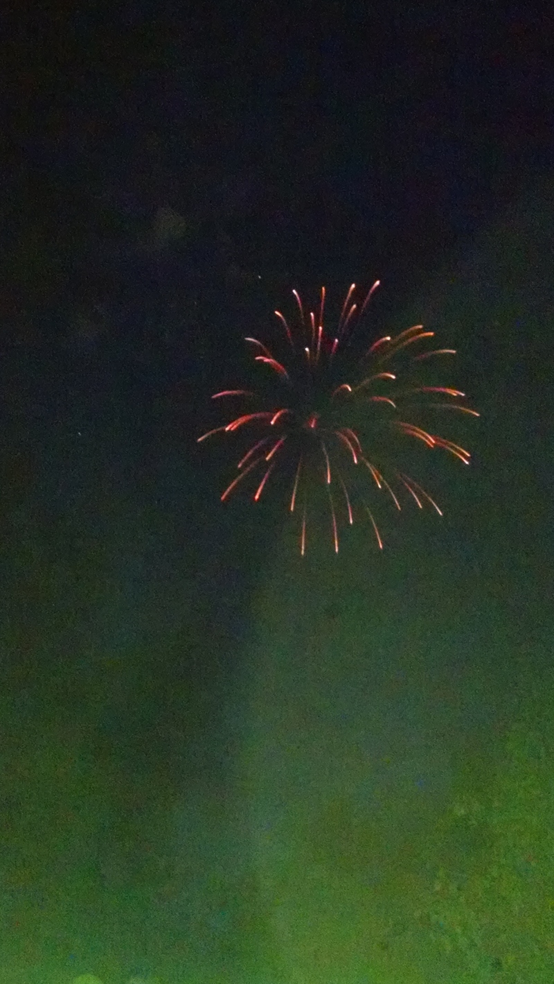 Then we watched fireworks. I discovered that my cell phone thinks it has to use a flash.