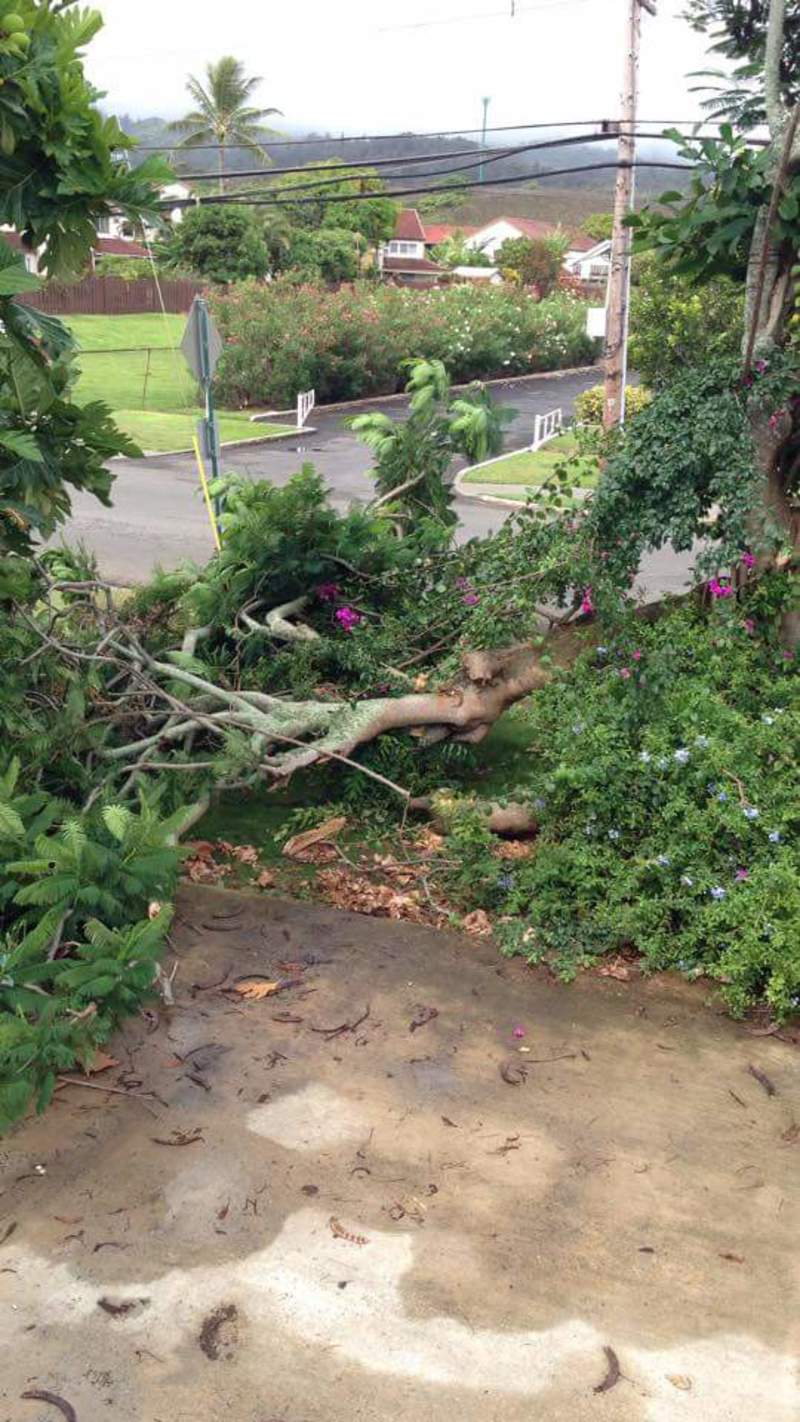 It is sad that I(Lois) am not there to clean it up.