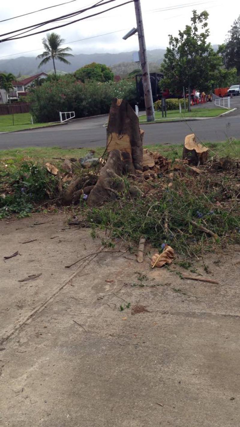 What it looks like now from the back.